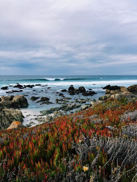 A road trip guide to California's gorgeous central coast Central Coast California, Monterey Peninsula, Perfect Road Trip, California Garden, Central California, Pretty Landscapes, California Art, California Coast, Central Coast