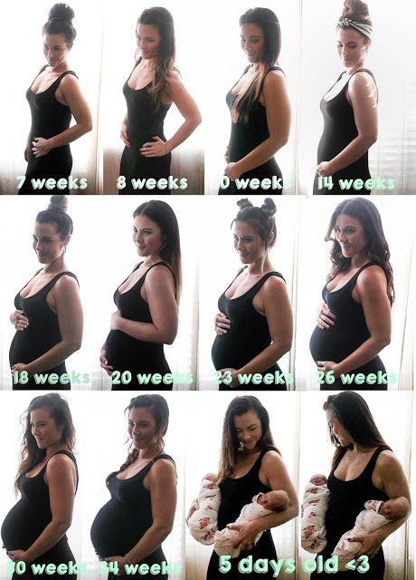 Twin pregnancy pictures - month by month. How to create silhouette pregnancy pictures! // Creating the Silver Lining: Twin Bump Through the Months Pregnancy Progress Pictures, Pregnancy Bump Photos, Twin Pregnancy Belly, Bump Progression, Baby Bump Progression, Vom Avea Un Copil, Pregnancy Timeline, Twin Pregnancy Announcement, Baby Bump Pictures