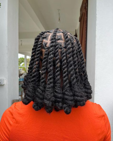 Wool Braids, Wool Hairstyles, Brazilian Wool Hairstyles, Brazilian Wool, Braided Mohawk Hairstyles, Braided Mohawk, Transitioning Hair, Goals Vision Board, Two Braid Hairstyles