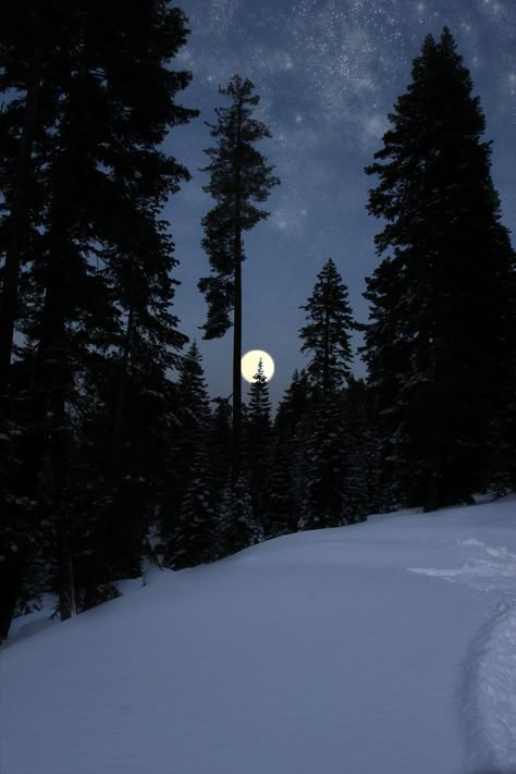 Winter Schnee, Winter Sky, Moon Pictures, Winter Scenery, Winter Beauty, Beautiful Moon, Snow Scenes, Winter Pictures, Winter Wonder