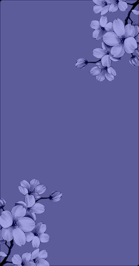 Iphone Wallpaper Violet, Simple Wallpaper, Purple Flowers Wallpaper, Cute Blue Wallpaper, Flowers Photography Wallpaper, Cute Tumblr Wallpaper, Simple Phone Wallpapers, Purple Wallpaper Iphone, Cute Simple Wallpapers