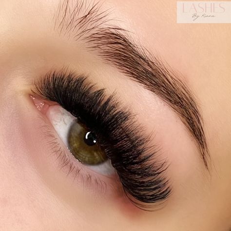 Last Extensions, Mega Lash Extensions, Lash Extensions Mega Volume, Eyelash Extensions Mega Volume, Lashes Mega Volume, Mega Volume Lash Extensions, Mega Volume Lashes, Lash Appointment, Brow Tech