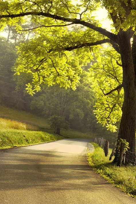 Blur Photo Background, Beautiful Roads, Landscape Photography Tips, Cades Cove, Landscape Photography Nature, Dslr Background Images, Best Background Images, Photo Background Images, Time Magazine