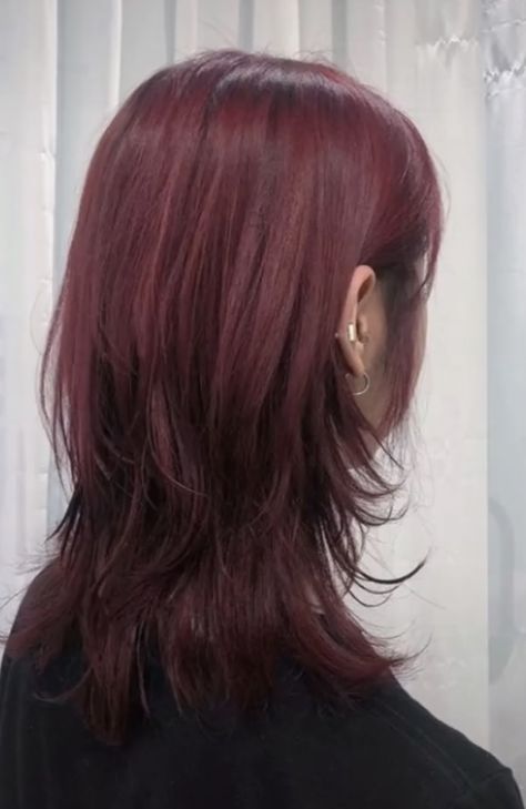 Red Hair In Black Hair, Red Hair Pallete, Red Hair Color No Bleach, Red Hair Dark Highlights, Dark Red Hair Underneath, Hair Styles Wolf Cut, Red Hair Without Bleaching, Dark Red Layered Hair, Wolfcut Red Hair