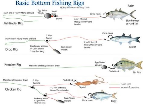 Essential Bottom Fishing Rigs – A Comprehensive Guide on http://miamifishing.com/fishing-reports/essential-bottom-fishing-rigs-comprehensive-guide Bottom Fishing Rigs, Bottom Fishing, Catfish Fishing, Salt Water Fishing, Fishing Rigs, Surf Fishing, Fishing Techniques, Fishing Knots, Fishing Guide