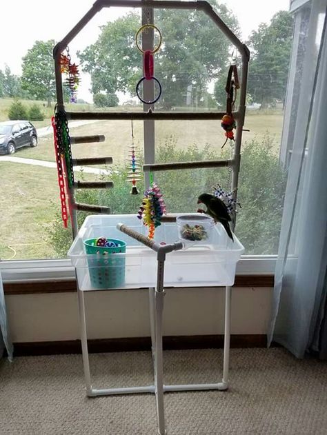 DIY parrot playground! The storage container use is brilliant. Cheap to make, easy clean! Diy Bird Playground Ideas, Diy Parrot Playground, Conure Playground Diy, Bird Stands Diy Ideas, Diy Parrot Stand, Parrot Toys Diy, Parrot Enrichment Diy, Cockatiel Playground Diy, Parrot Play Stand Diy