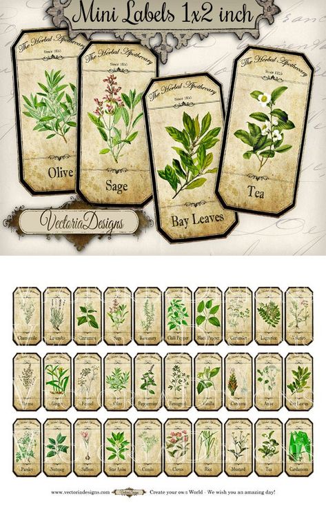 Mini Herbal Apothecary Labels, Spice Jar Labels, Herb LabelsMini Herbal Apothecary Labels - a collection of 30 different herbal bottle and jar labels for your kitchen - these would look great on test tubes.What you actually want to know:° 30 high quality (300 dpi) labels (2 x 1 inch) on 1 JPG 8.5 Herb Labels, Herbs List, Sage Tea, Apothecary Labels, Spice Jar Labels, Potion Labels, Spice Labels, Herbal Apothecary, Junk Journal Ephemera