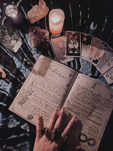 Witchy Academia, Witch Room, Witch Core, Magic Aesthetic, Love Tarot, Season Of The Witch, Beltane, Sanya, Witch Aesthetic