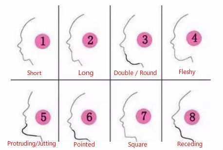 Chin Shapes, Chinese Face Reading, Chiseled Jaw, Nose Types, Type Chart, Shape Chart, Powerful People, Anatomy References, Face Reading