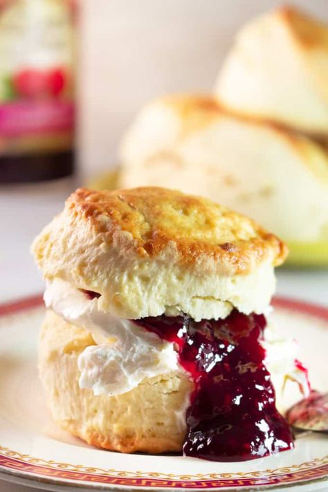 Best English Scones Recipe Ever, English Biscuit Recipe Afternoon Tea, Scones English Traditional, English Buiscits Recipes, Food Processor Scones, Scones Recipe English, Soft Moist Scones Recipe, Fluffy Scones Recipe Easy, Best Ever Scones