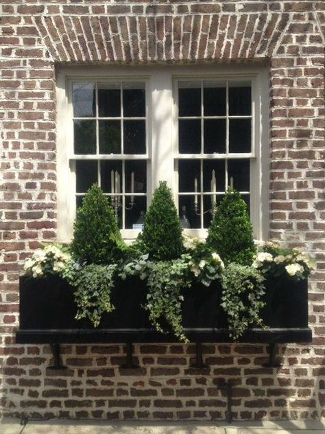 a black window box planter with greenery, white blooms and tiny trees refreshes the look at once Perineal Flowers For Window Boxes, Charleston Design, Potting Room, Window Baskets, Winter Window Boxes, Christmas Window Boxes, Fall Window Boxes, Window Box Ideas, Window Box Garden