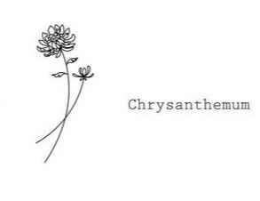 Simple Chrysanthemum Tattoo, Tattoo 2022, Luna Tattoo, Chrysanthemum Tattoo, Family Tattoo, Small Pretty Tattoos, Geniale Tattoos, Birth Flower Tattoos, Family Tattoos