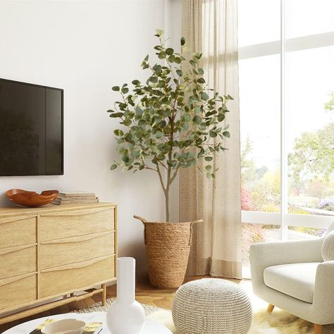 The perfect botanical touch for your living space! This charming faux tree brings the beauty of nature indoors without the hassle of maintenance. The lifelike eucalyptus leaves add a refreshing burst of green to any room, while the sturdy base ensures stability. Whether you're looking to enhance your home office, living room, or even your bedroom, this delightful faux Eucalyptus Tree is a low-maintenance way to infuse cuteness and greenery into your decor. 🌿🌱 Eucalyptus Silver Dollar, Faux Eucalyptus, Eucalyptus Leaf, Wood Trunk, Artificial Eucalyptus, Eucalyptus Tree, Faux Tree, Potted Trees, Natural Design