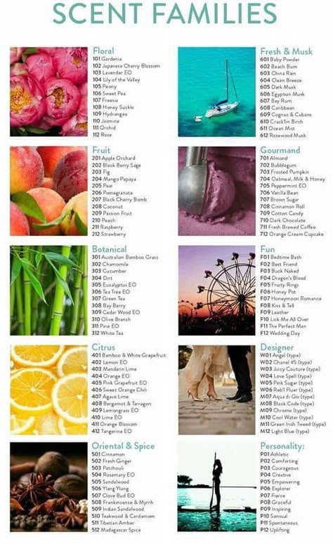 Scent Families! Schedule your Blending Bar to take out scent profile quiz to see which areas you love most to create your scent bathologie.com/sweet essence Candle Science Fragrance Blends, Types Of Scents, Perfume Making Aesthetic, Perfume Scents Chart, Scent Pairings, Layering Fragrance, Layering Scents, Scent Families, Strawberry Botanical