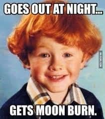 Ginger Meme, Redhead Memes, Ginger Jokes, Ginger Picture, Hair Jokes, Ginger Humor, Redhead Funny, Head Memes, Redhead Quotes