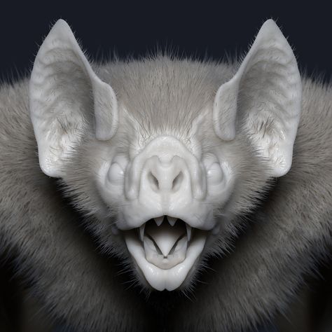 Vampire Bat, COLIN SHULVER on ArtStation at https://www.artstation.com/artwork/0nXX3G Townsend Big Eared Bat, Vampire Bat Photography, Bat Nose Drawing, Bat Mouth Open, Vampire Bat Reference, Bat Face Art, Bat Tattoo Drawing, Bats Artwork, Bat Face Drawing