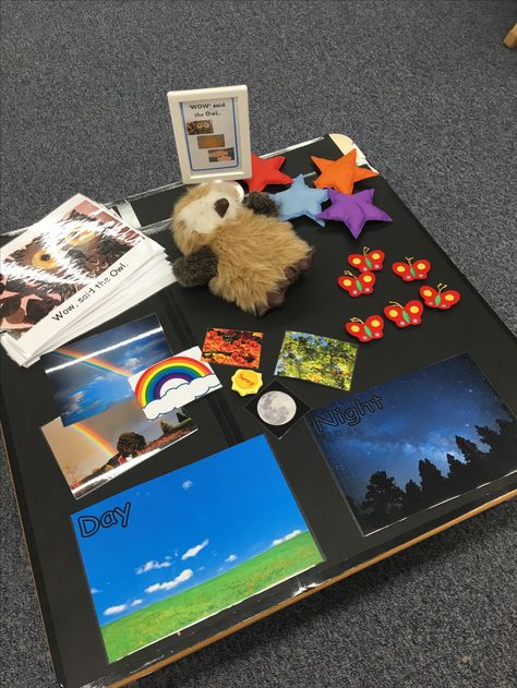 Wow! Said the Owl Provision Wow Said The Owl Eyfs Activities, Wow Said The Owl Activities, Light And Dark Activities, Owl Babies Book, Literacy Bags, Owl Activities, Storytime Themes, Nursery Stories, Owl Babies