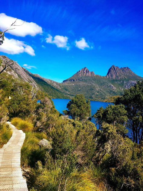 Tasmania, Australia! Cataract Gorge in Launceston, Wineglass Bay in Freycinet National Park and hiking the trails of Cradle Mountain National Park. Oh and Wallabies! Lots of Wallabies! Australia Nature Photography, Australian National Parks, Tasmania Aesthetic, Tasmania Hiking, Australian Mountains, Australia Hiking, Wineglass Bay, Australia Tasmania, Australia Roadtrip