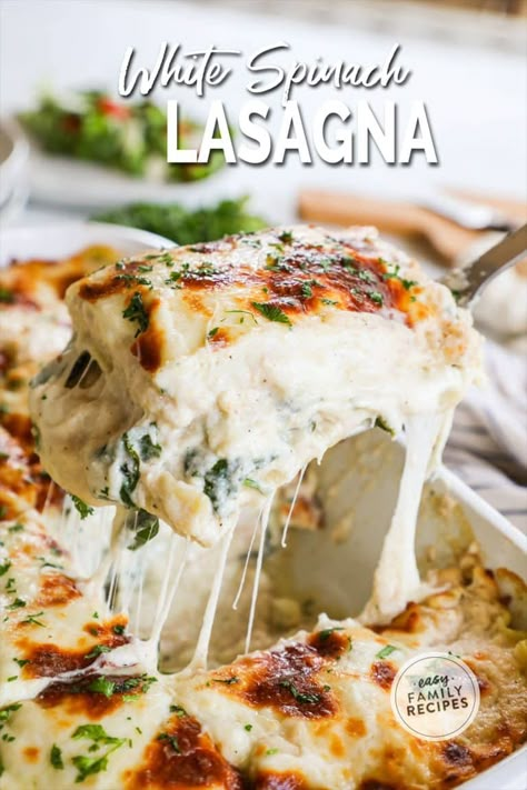 Easy White Lasagna with Spinach Recipe: Looking for an easy pasta dinner that's sure to please? This lasagna casserole is the answer! Layers of creamy sauce and spinach make for a comforting and delicious meal. The secret to this recipe is the white sauce, which is made with a blend of butter, flour, milk, and Parmesan cheese. The garlic white sauce is absolutely delicious. The spinach adds a bright pop of color and freshness to the dish, making it a feast for the eyes as well as the taste ... Cheese Roux Sauce, Recipe For White Sauce, Lasagna White Sauce, Vegetable Lasagna With White Sauce, White Lasagna Recipe, Lasagna With White Sauce, Lasagna With Zucchini, Easy Spinach Lasagna, Dinner Recipe For Family