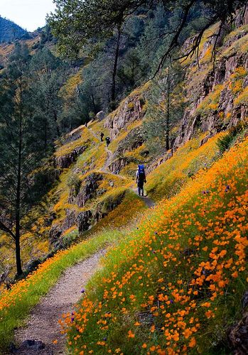 Hites trail Hill Landscape, Merced River, California Poppies, Nature Trails, Cheap Flight, Cheap Flight Tickets, Nature Scenery, Flight Tickets, Fairy Queen