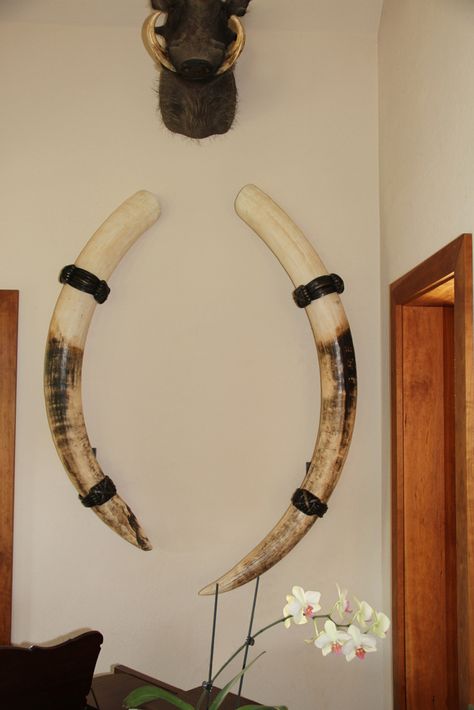 Hunting Lodge Interiors, Lodge Interiors, Elephant Tusk, Christopher Smith, Horns Decor, Sculpture Gallery, Traditional Bow, Hunting Lodge, Bow Accessories