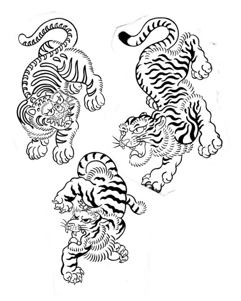 Indonesian Tiger Tattoo, Tibetan Tiger Tattoo, Tiger Flash Tattoo, Tiger Tattoo Outline, Siamese Tattoo, Asian Tiger Tattoo, Chinese Traditional Tattoo, Tiger Japanese Tattoo, Japanese Tiger Art