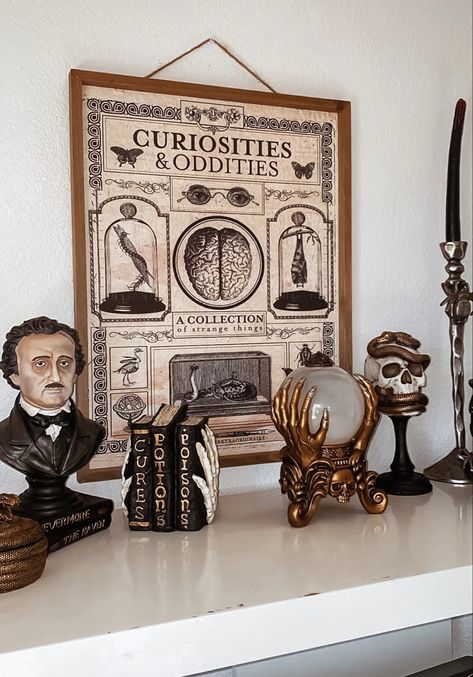 Edgar Allen Poe Inspired Bedroom, Edgar Allen Poe Aesthetic Decor, Edgar Allen Poe Halloween Decor, Poe Halloween Decor, Dark Academia X Cottagecore, Edgar Allen Poe Decor, Library Halloween Decorations, Nightmare Before Christmas Party Decorations, Edgar Allan Poe Aesthetic