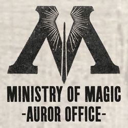 Auror Office Logo Harry Potter Triangle, Harry Potter Wiki, Nymphadora Tonks, Harry Potter Stories, Gellert Grindelwald, Ronald Weasley, Ministry Of Magic, Lord Voldemort, Hogwarts Mystery