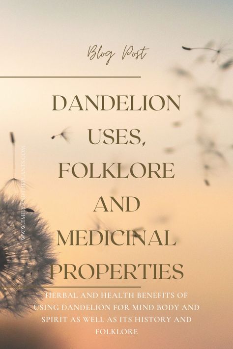 Herbal and health benefits of using dandelion for mind body and spirit as well as its history and folklore. How to use dandelion for its health benefits from root to leaves and flowers Dandelion Root Tea Benefits, Garden Preserving, Dandelion Uses, Diy Dandelion, Dandelion And Burdock, Dandelion Leaf, Dandelion Benefits, Digestive Bitters, Dandelion Root Tea