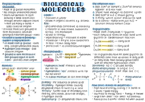 #notes #goodnotes #asthetic #alevels #ipadpro #ipadnotes #biology A Level Biology Notes Biological Molecules, Chemistry Of Life Biology, Bio Molecules Notes, Biological Molecules A Level, Alevel Bio Notes, Goodnotes Biology Notes, Biological Molecules Notes, Biology Alevel Notes, Biology Cell Notes