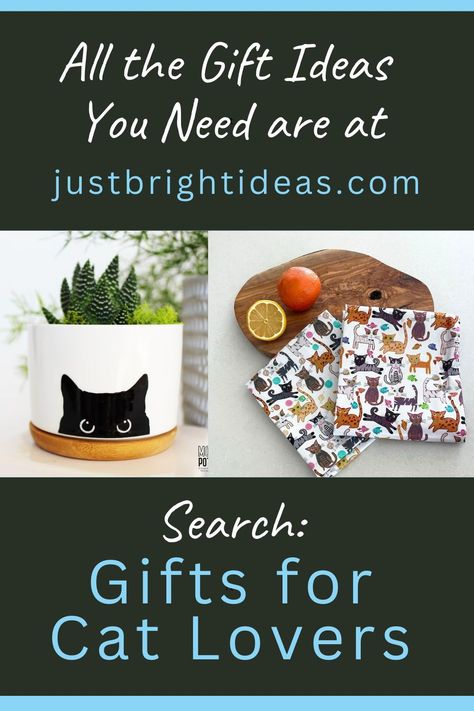 Cat gifts diy