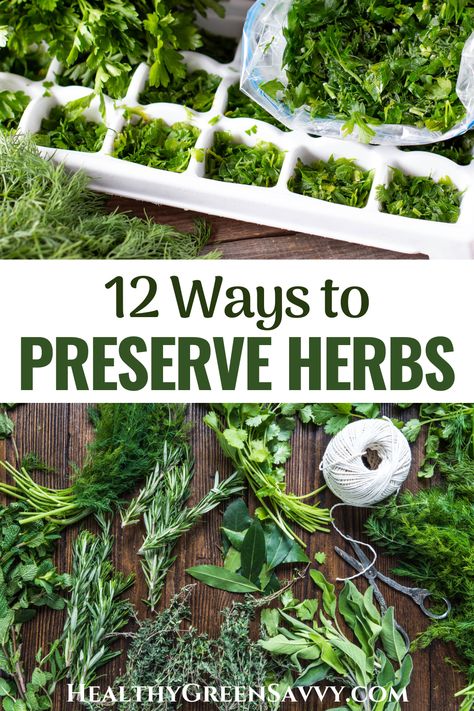 Want to preserve some of those delicious herbs from your garden? Check out these 12 ways to preserve herbs and enjoy the flavors of summer all year round. | preserving herbs | how to preserve herbs | seasonal eating | home food preservation | Preserve Herbs, Freezing Fresh Herbs, Preserve Fresh Herbs, Store Fresh Herbs, Drying Fresh Herbs, Freezing Herbs, Preserving Herbs, Harvesting Herbs, Winter Cooking