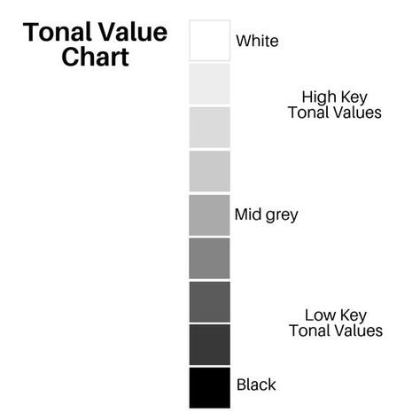 Value Chart Color, Colour Value Scale, Tone Value Drawing, Value Chart Painting, Tonal Value Drawing, Gray Scale Drawing, Tonal Value, Value Studies, Value Scale