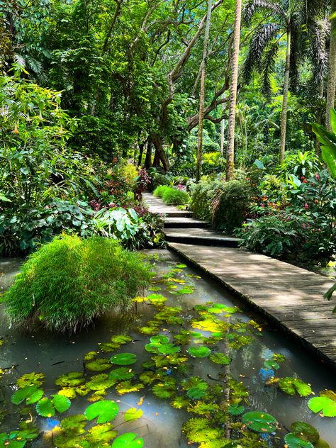 Nadi Fiji, Sleeping Giant, Senior Trip, Tropical Rainforest, Island Girl, Once In A Lifetime, Tropical Garden, Beautiful Place, Summer Garden