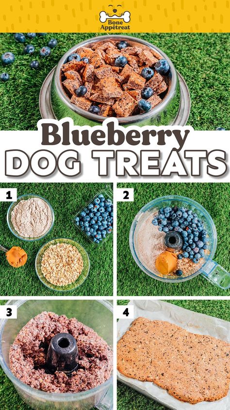 With just four ingredients, this homemade blueberry dog treats recipe is crunchy, healthy, and dogs love them! Just blend, shape, and bake into crispy perfection. Great for using as training rewards or as the occasional treat for your dog. Homemade Dog Treats For Puppies, Blueberry Dog Treat Recipe, Puppy Treats Homemade, Blueberry Dog Treats, Homemade Dog Food Vet Approved, Healthy Dog Snacks, Snacks For Dogs, Dog Treat Business, Pup Treats