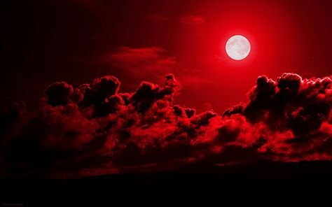 Blood moon sky Red Aesthetic Grunge, Red Images, Red Cloud, Computer Backgrounds, Header Photo, Red Moon, Blood Moon, Red Sky, Wallpaper Pictures