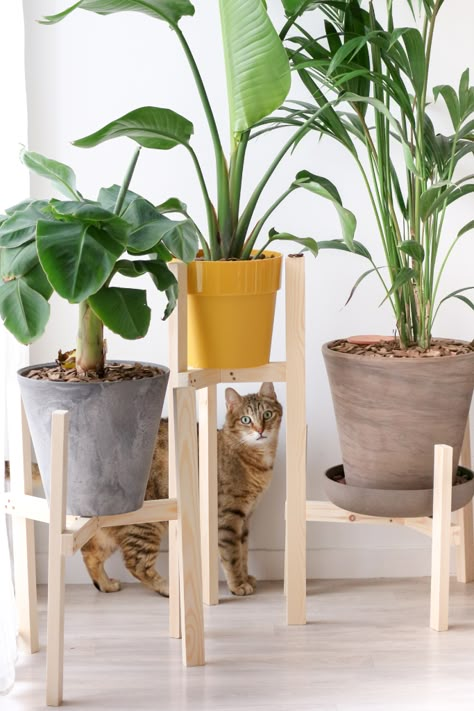 DIY : Fabriquer un support porte plante en bois - M comme Mademoiselle #homemade  #decoration #tuto #plant #greentouch #supportwoodenplantholder#wood #diy #natural #urbanjungle Homemade Decoration, Support Pour Plante, Construction Diy, Support Plante, Wood Plant Stand, Diy Deco, Cache Pot, Plant Supports, Diy Plants