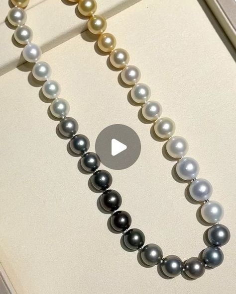 ANNIE CASE FINE JEWELRY on Instagram: "With invisible clasp . Ombré 12-14.5mm Tahitian pearl + Golden South Sea pearl+White South Sea pearl necklace 
Length 47cm 
Dm for inquiries.
@anniecasepearl 
.
.
.
.
.
.
.
.
Ys240127MCN195500
#pearl#pearls#pearljewelry#pearllover#lovepearls#pearladdict#finejewelry#jewelryaddict#jewelryaddiction#anniversarygift#giftforher#birthdaygift#pearlnecklace#southseapearls#tahitianpearlnecklace#goldensouthseapearls#ombrenecklace#goldensouthseapearls#tahitianpearls" South Sea Pearl Necklace, Fine Pearl Jewelry, Tahitian Pearl Necklace, Golden South Sea Pearls, Sea Pearl, South Seas, South Sea Pearls, Tahitian Pearls, Necklace Length