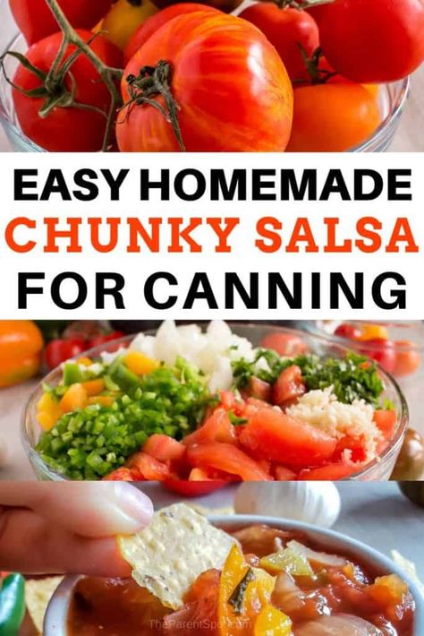 Salsa Canning Recipes Without Vinegar, Chucky Homemade Salsa, Simple Salsa Recipe Canning, Canning Pico De Gallo Recipe, Salsa Canning Recipes Easy, Mild Chunky Salsa Recipe, Homemade Chunky Salsa, Salsa Recipe For Canning, Chunky Salsa Recipe