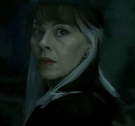 Narcissa Anastasia Malfoy (draco's mum) Enjoy 😉 Harry Potter Narcissa, Kate Todd, Narcissa Malfoy, Harry Potter Groups, Malfoy Family, Black Sisters, Harry Potter Artwork, Harry Potter Obsession, Black Families