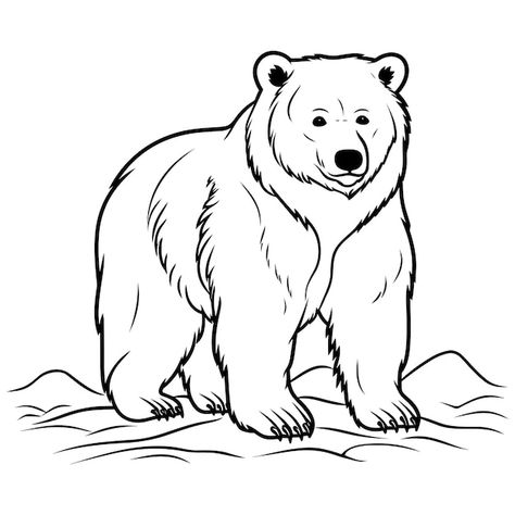 صفحه رنگ آمیزی خرس برای کودکان | Premium Vector #Freepik #vector #white-bear #bear-drawing #polar-bear #brown-bear Coloring Pages Beach, Polar Bear Outline, Bear Face Drawing, Bear Coloring Page, Polar Bear Drawing, Animals Sketch, Bear Sketch, Animal Outline, Bear Vector