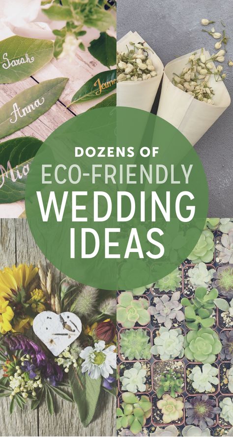 Wedding Souvenirs For Guests, Zero Waste Wedding, Eco Friendly Wedding Ideas, Sustainable Wedding Ideas, Eco Wedding, Boda Mexicana, Sustainable Wedding, Eco Friendly Wedding, Low Waste