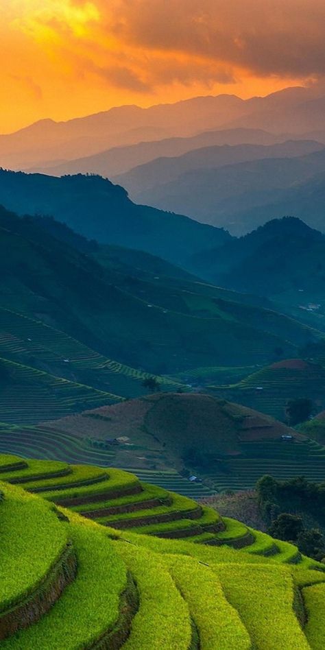 Philippines Wallpaper, Philippines Destinations, Rice Terraces, Philippines Travel, Nature Aesthetic, Scenery Wallpaper, Nature Pictures, Laos, Cambodia