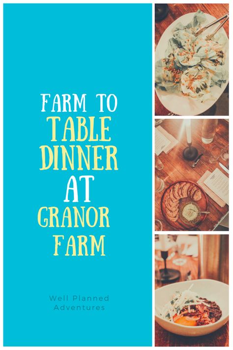 Three Oaks Michigan, Farmhouse Dinner, Squash Puree, Southwest Michigan, Cheese Course, Pasture Raised Eggs, Family Style Meals, Farm Tour, Roast Pumpkin