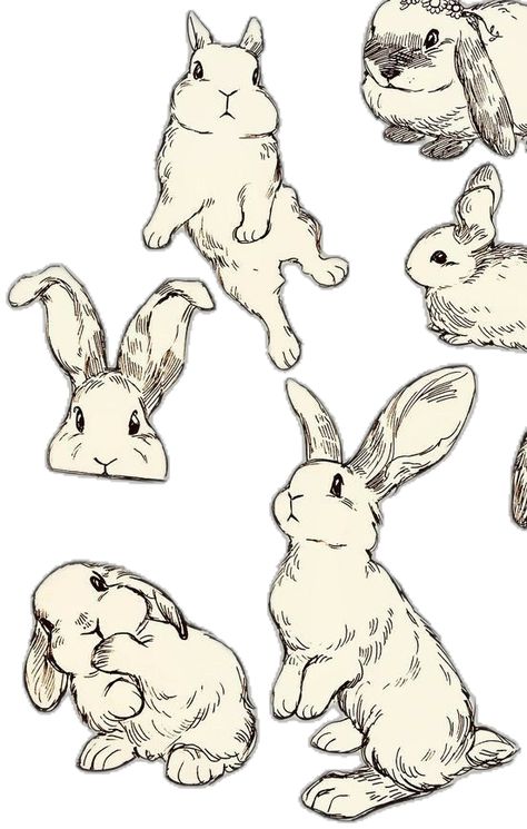 Rabbit Illustration Character, Lop Eared Bunny Drawing, Bunny Line Drawing, Bunnies Drawing, Bunny Rabbit Drawing, Cute Bunny Drawing, Bunny Jumping, Scarf Illustration, Bunny Outline