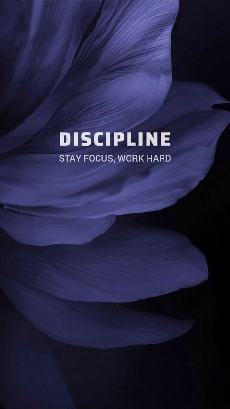 Discipline. Stay focus, work hard Stay Disciplined Wallpaper, Decipline Wallpaper Hd, Displine Wallpapers Aesthetic, Discipline Wallpaper Iphone, Focus On Yourself Wallpaper, Discipline Pictures, Discipline Quotes Wallpaper, Motivation Discipline Wallpaper, Self Discipline Wallpaper