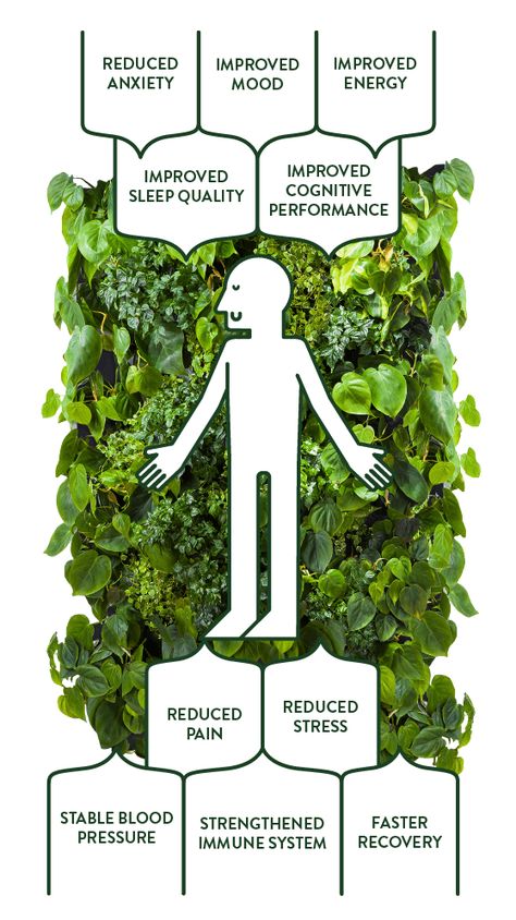 Biophilia – The Love of Life and All ... Biofilic Design, Biophilic Home, Horticulture Therapy, Biophilic Architecture, Third Space, Hospital Interior, Architecture Concept Diagram, Love Of Life, Concept Diagram