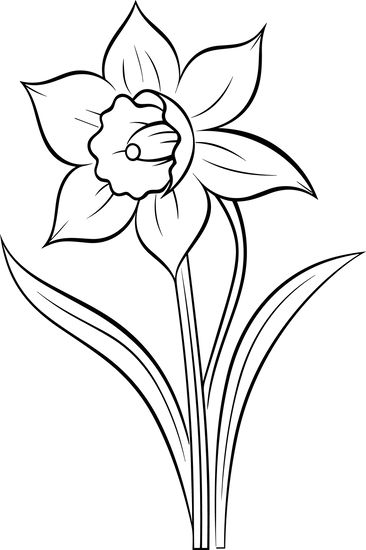 Daffodil Flower Outline Daffodil Outline, Simple Flower Outline, Daffodil Drawing, Flowers Outline, Tattoo Practice, Flower Outline, Daffodil Flower, Flower Stencil, Applique Quilting