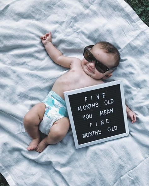 I’m five months old? nah lady..I think you mean I’m FINE months old 😎 • • • • • #postpartum #gerberbaby #maternityphotography… Milestone Ideas, 5 Month Baby, Baby Boy Quotes, Baby Milestones Pictures, Letter Board Ideas, Monthly Baby Pictures, Monthly Pictures, Baby Milestone Photos, Baby Announcement Pictures