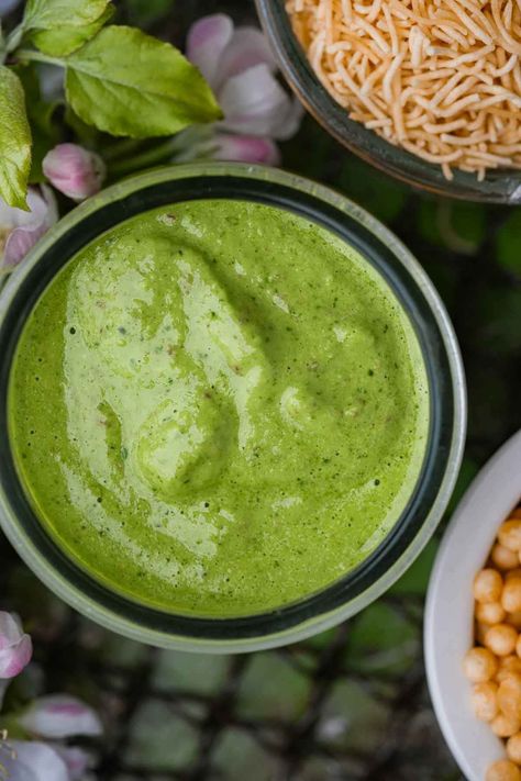 Dhaniya Pudina Chutney (Indian Cilantro Mint Sauce) - Cinnamon Snail